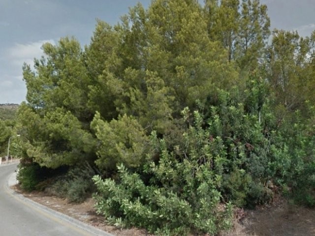 Plot in Bendinat with sea views - 2