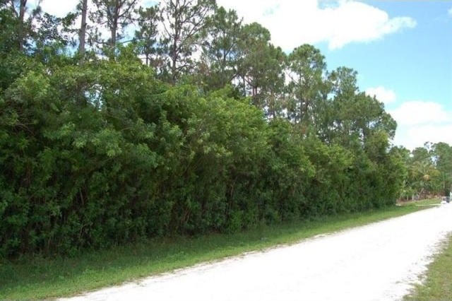 Land For Sale: Loxahatchee, Florida - 2