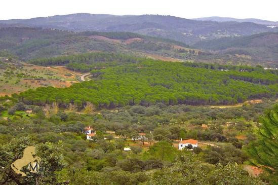 se vende complejo turismo casa rural.. - 2