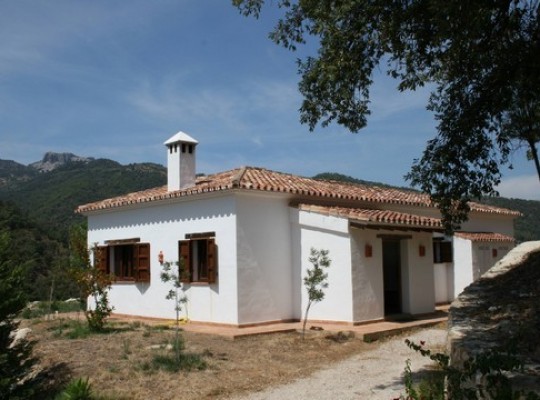 Finca for sale in Jubrique, Malaga