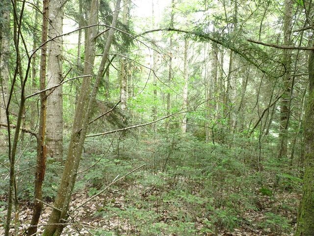Vente Terrain Mazeyrolles - 2