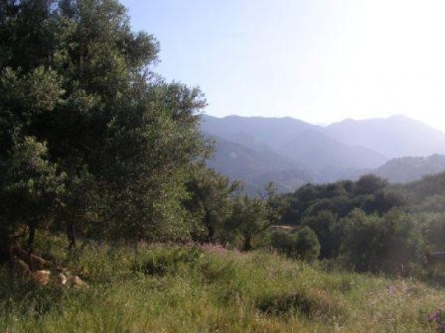DCP-204 Village Plot only €55,000