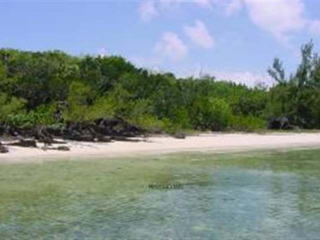Singlefamilyvacant - Beautiful.. - 2