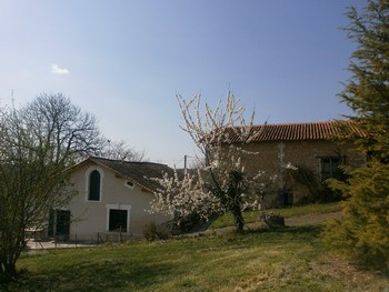 Charming Little Farm On 10,31acres - 2