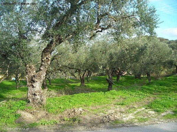 Land - Zakynthos - For Sale