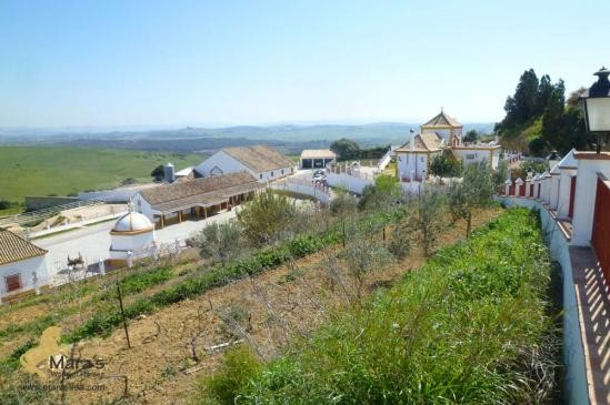 Yeguada cuadra Finca Andalucia Chiclana..