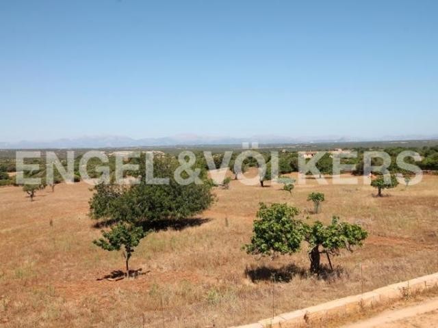 Plot with a view over the Alcudia valley