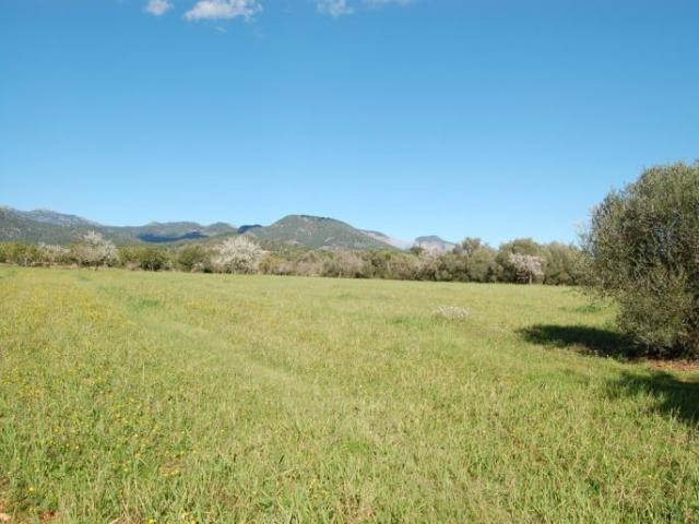 Superb plot set in a top location in..