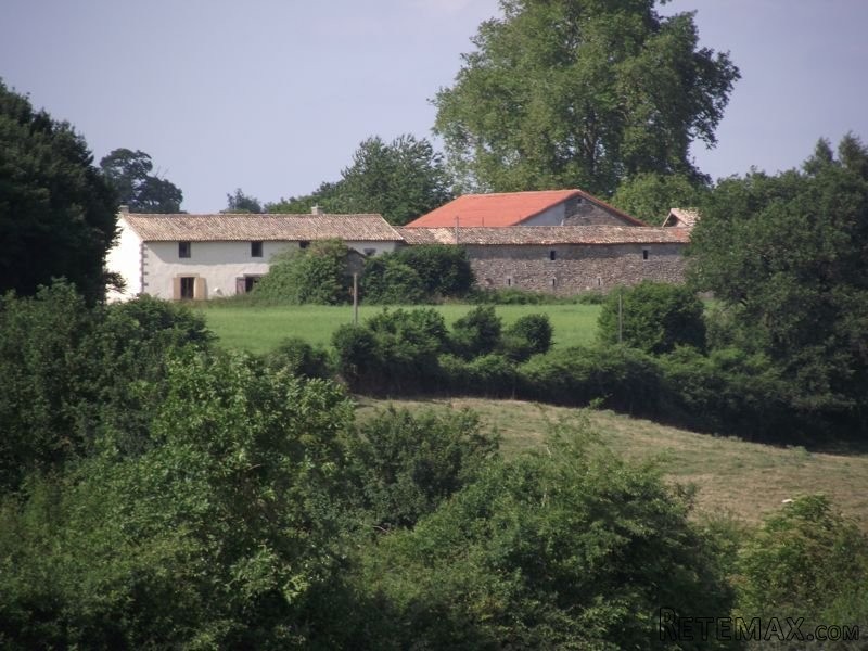 Detached Renovated Stone Property With.. - 2