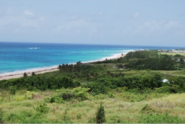 Property For Sale: Paragon Land, Christ.. - 2