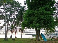 Land For Sale Golfito Puntarenas Costa.. - 2