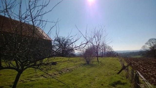 ONE HECTARE ATTACHED LAND, nice farm in.. - 2