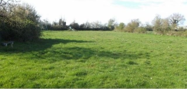 Beautiful House with 1.5 Hectare Plot - 2