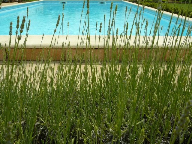 Charming Country House with Pool - 2