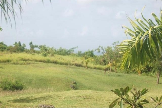 Property For Sale: Waterhall, Lot 38.. - 2