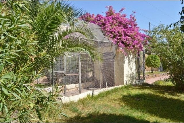 12 Bedroom Finca - Formally Rural Hotel - 2