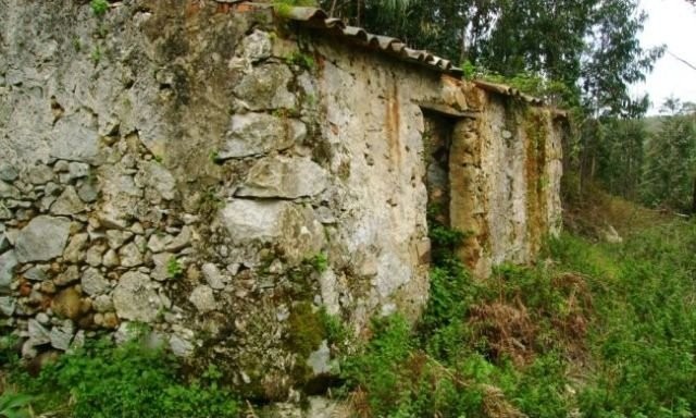 Nice Farmhouse with 4.000 m2. Only 3 km..