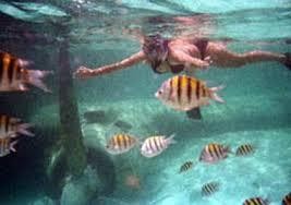 Plot For Sale: Bahama Island Beach - 2