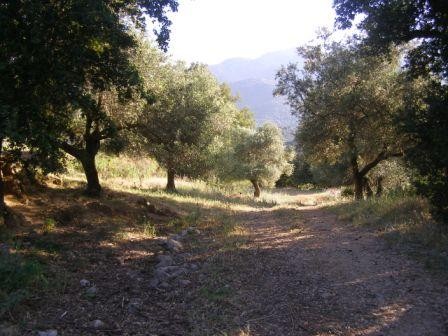 DCP-204 Village Plot only €55,000 - 2