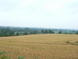 House in With Good Rural Views - 2