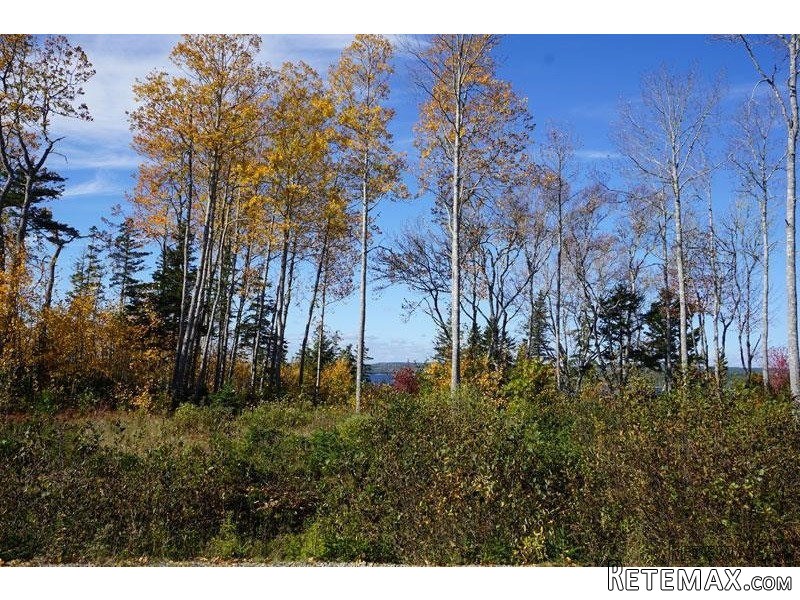 Land For Sale: Lot 5 Endeavour Avenue..