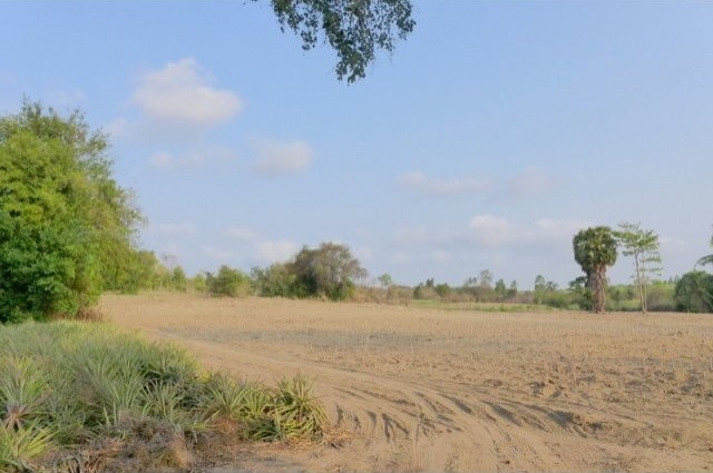 Top investment: Large sloped sea view..