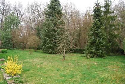 Modern property with good-sized garden - 2