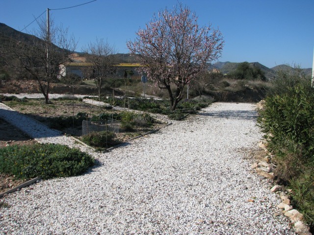 Villa Acogedor, Cantoria, Almeria - 2