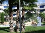 Apartment, Alicante (Costa Blanca)..
