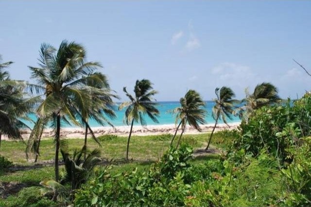 Property For Sale: Paragon Land, Christ..