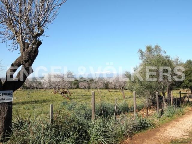 Dream plot of land with stunning views.. - 2