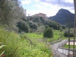 - Land - For Sale