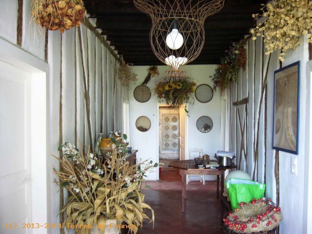 Maison De Campagne (Meuble) Sur 5000 M2.. - 2