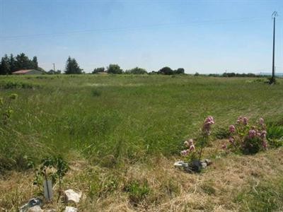 Site