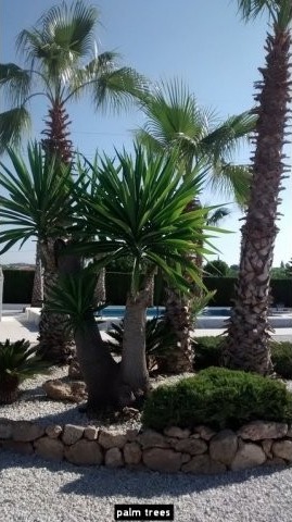 Finca for sale in Cartama, Malaga.. - 2
