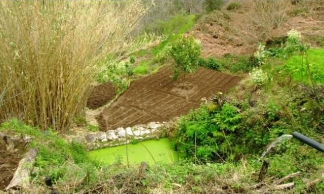 Nice Farmhouse with 4.000 m2. Only 3 km.. - 2
