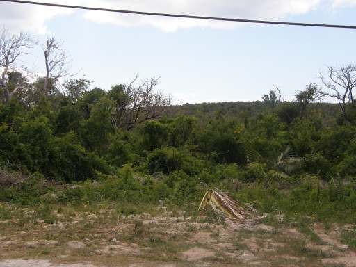 Singlefamilyvacant - Located on Banks.. - 2