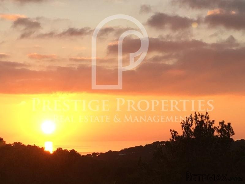 Two house property near Cala Conta - 2