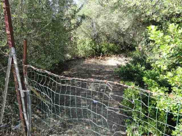 - Land - For Sale
