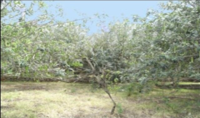 Plot For Sale Denia - Ref: 1505 - 2