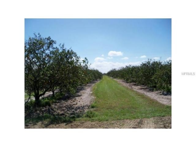 Land For Sale: 10518 & 10576 County..