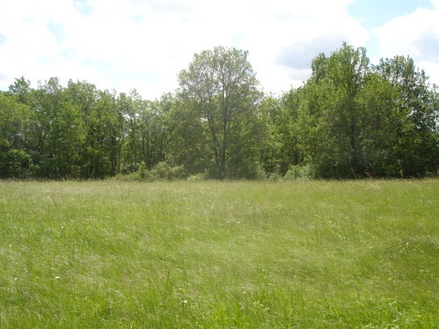 25111 - Vente - Terrain - Vergt - 2