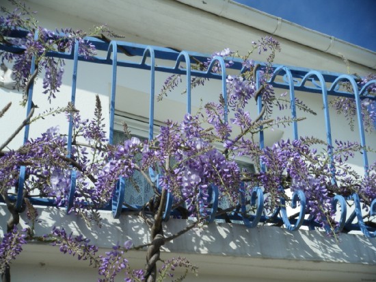 House with Views of the Port - 2