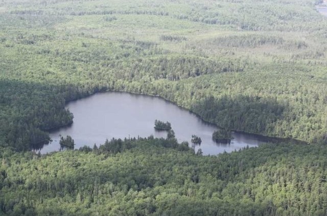 Land For Sale: Lot Porcupine Lake..