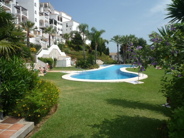 Apartment - Immaculate and spacious 2..