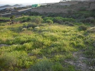 Plot in Chimiche - 2