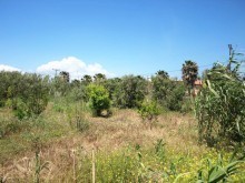 Crete Property