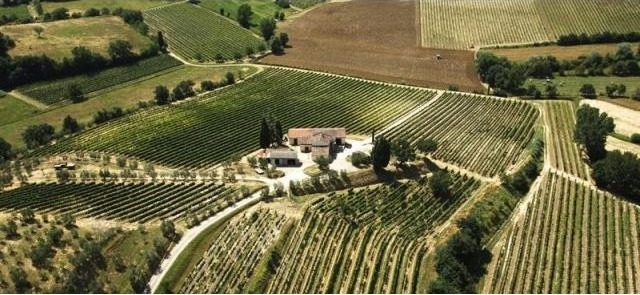 Farm For Sale: Montepulciano