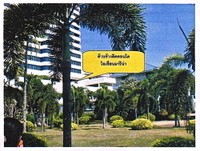 Land For Sale Na Jomtien Chon Buri.. - 2