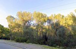 - Land - For Sale